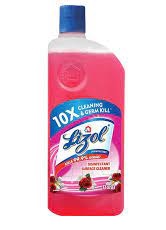 LIZOL DISINFECTANT SURFACE CLEANER FLORAL